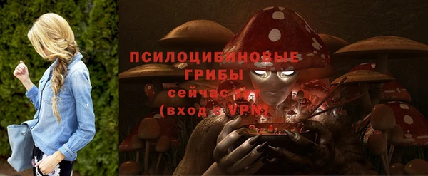 прущая мука Горняк