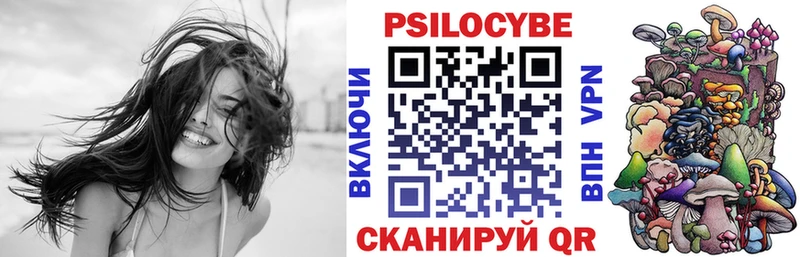 дарнет шоп  Петровск-Забайкальский  ОМГ ОМГ как зайти  Псилоцибиновые грибы Magic Shrooms 
