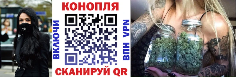 Марихуана гибрид Петровск-Забайкальский
